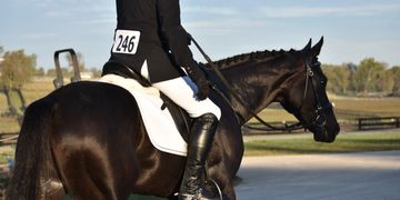 OTTB Events Thoroughbred Southeastern Thoroughbred Showcase Dressage reception tickets tb VIP