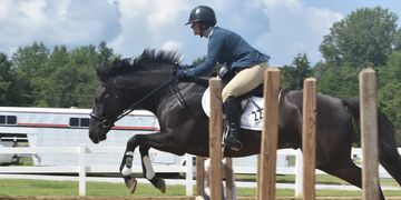 Southeastern Thoroughbred Showcase SETBS OTTB Events Show Hunter Brookwood Farm Sport Horses