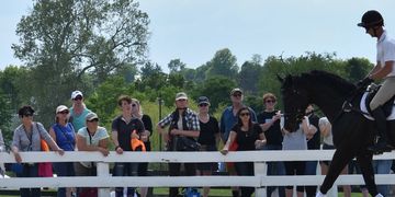 Etiquette during a show is important so as not interfere with a horse and rider competing.