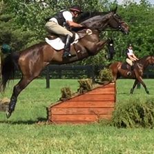 Equestrian Competition in 8 disciplines: Dressage, Eventing, Show Hunters, Show Jumpers, Equitation