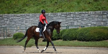 OTTB Events Southeastern Thoroughbred Showcase International Horse Park Georgia