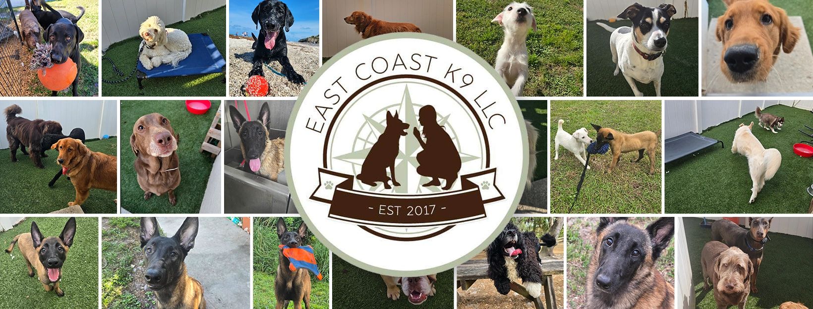 Collage of various playful dogs from East Coast K9 LLC, showcasing happy pets in outdoor and training environments.