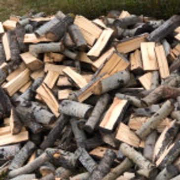 poplar firewood