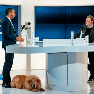 Two men in suits talking across a modern desk with a large dog lying nearby.