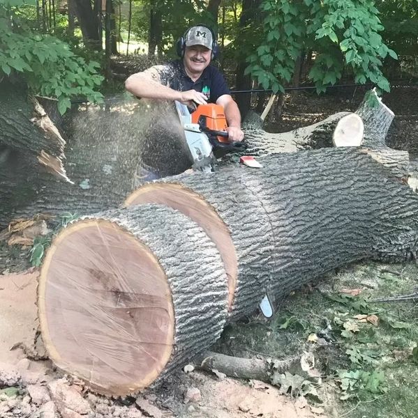 Logging
