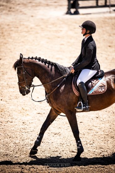 Equestrian rider in black jacket and helmet guiding a braided horse in a sandy arena.