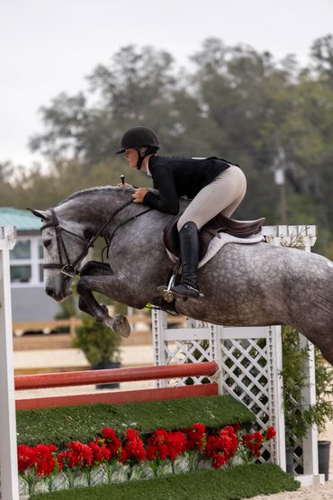Equestrian jumper mid-air over a red obstacle with red flowers.