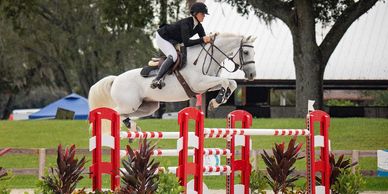 Equestrian rider and white horse jumping over red and white obstacle.