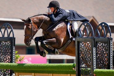 Equestrian rider and horse jumping over an obstacle during a competition.
