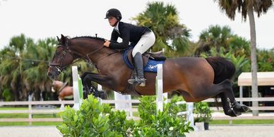 Equestrian rider and horse clearing a jump in an outdoor arena.