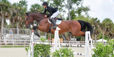Equestrian rider and horse jumping over an obstacle in competition.