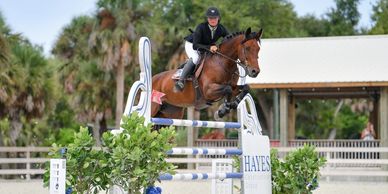 Equestrian rider and horse jumping over an obstacle in a show jumping competition.