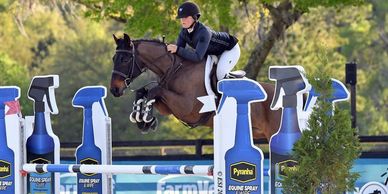 Equestrian jumper clearing an obstacle with spray bottle-themed poles outdoors.