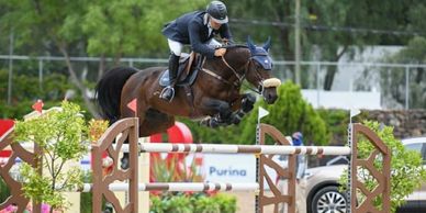Equestrian jumping over a hurdle during a competition.