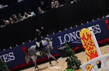 Equestrian rider celebrates victory on a decorated horse in an indoor arena.