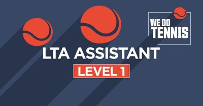Level 1 - Assistant