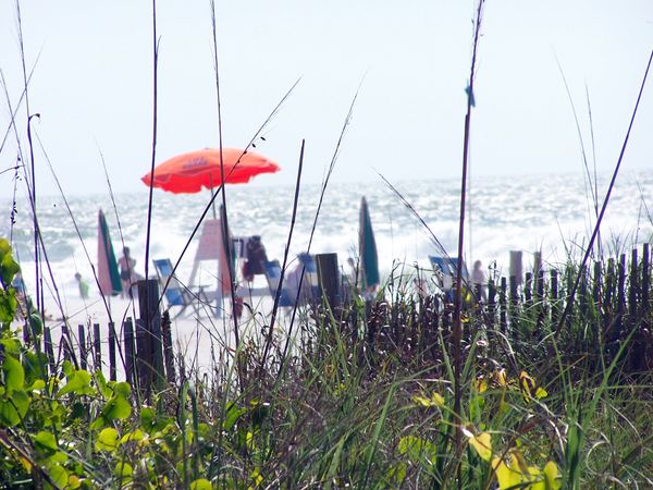 Myrtle Beach, the dunes, empty chairs and an umbrella overlooking some people and large waves in the