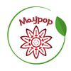 Maypop DigiArt Estsy Shop