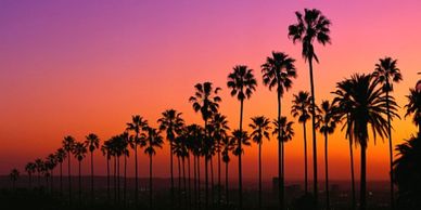 Things to Do in Los Angeles, California