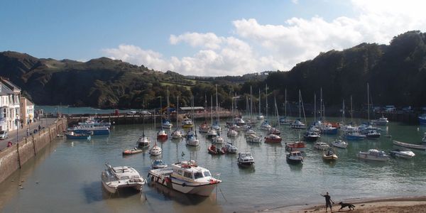 Ilfracombe harbour