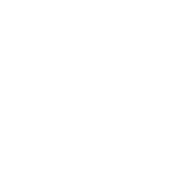 Ship Hop Brewing
