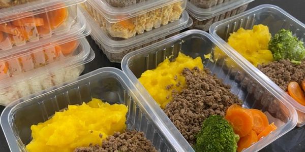 •	Almôndegas ao sugo com taioba
•	Carne moída com cubos de queijo coalho e brócolis
•	Cubos de alcat