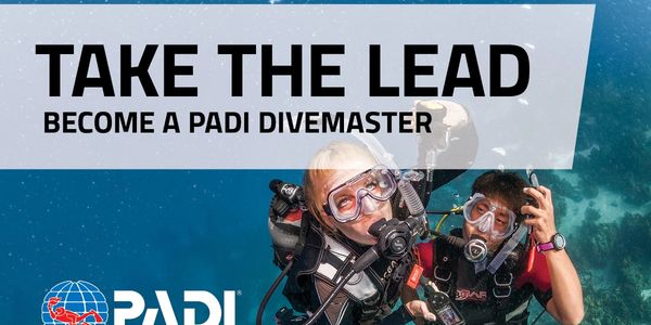 PADI Pro, Divemaster, Dive Leader 