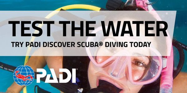 Try Diving, PADI Discover Scuba Diving Course