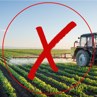 Don’t spray your fields with inorganic fertilizer’s or with herbicides, pesticides, fungicides!