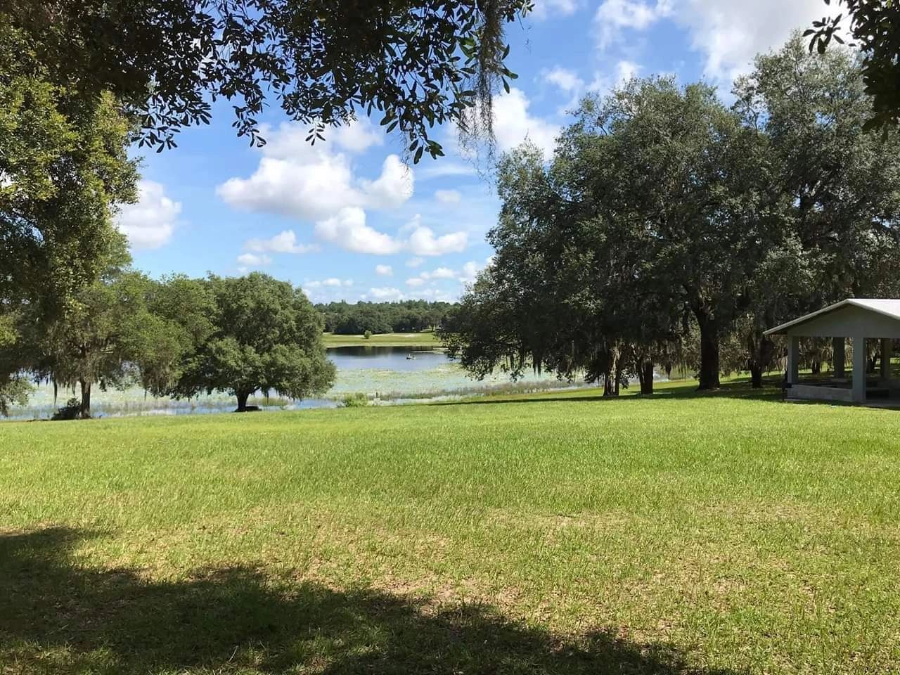 What's up? Big Tree Lakes Property Owner's Association INC.