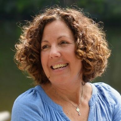 Melissa Corliss DeLorenzo author of Talking Underwater and The Mosquito Hours, White the Stars Burn 