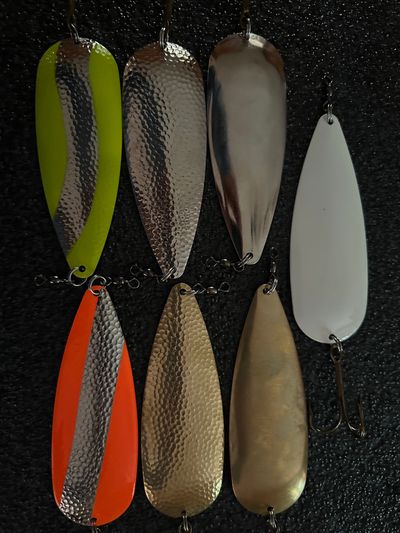 Musky Flutter Spoons are 5 1/2” and 2 ounces
