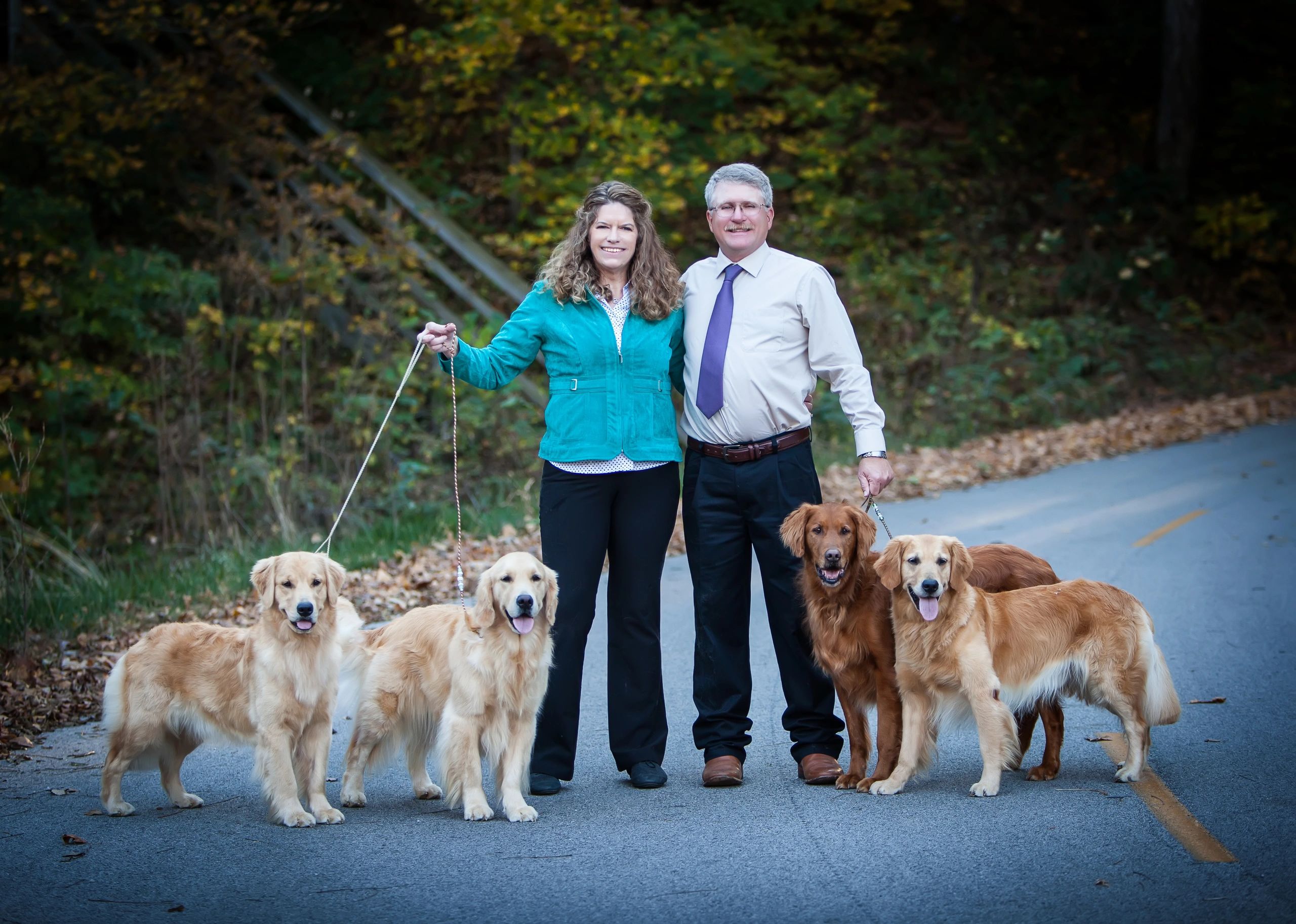 AKC Golden Retriever Puppies Wisconsin