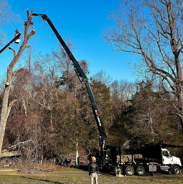 100ft remote control saw. Rental prices varies.
