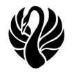 Black Swan Yoga And Wellness Studios