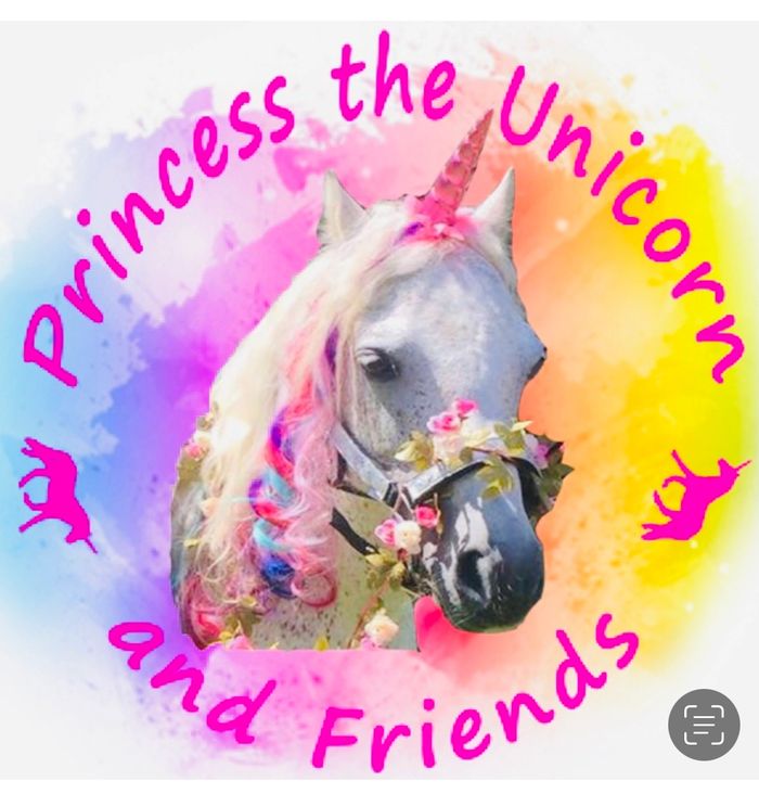 Princess the unicorn logo