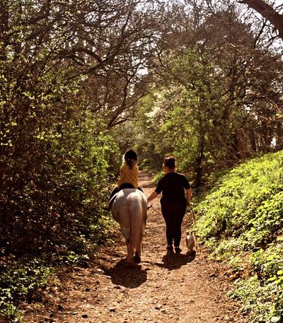 
Horse riding through the woods