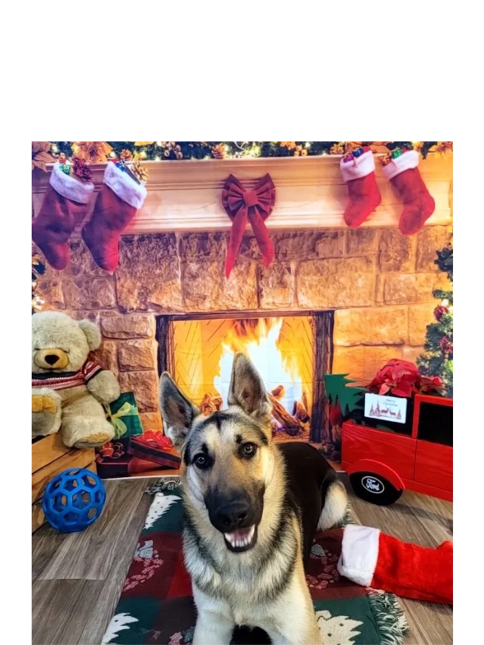 Merry Christmas from Sammy!