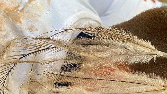 Emu feather hair decorations are easy and cool to make