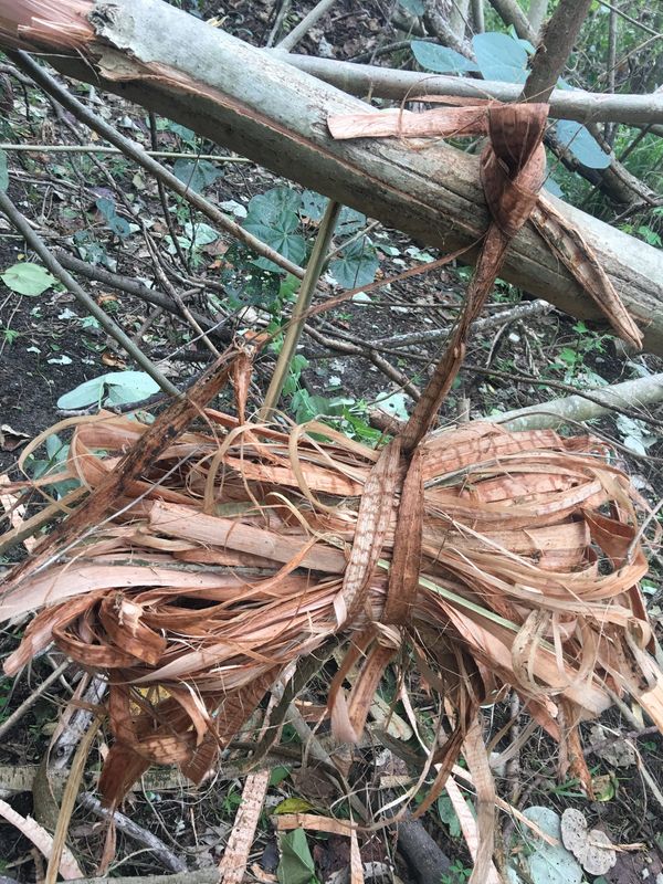 A bundle of dried palm or bark fibers tied and hanging outdoors.