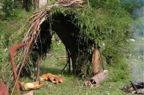 native american lean to shelter clipart