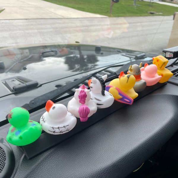 DUCK HOLDER