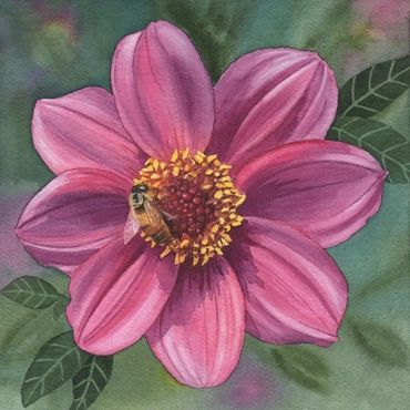 Diane Pope painting-A honey bee sits on a pink flower