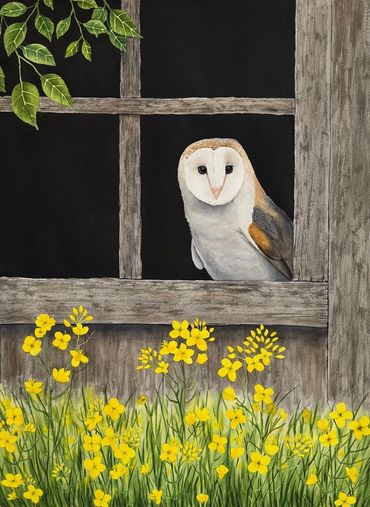 Diane Pope painting. Barn Owl sitting in a barn window with yellow mustard flowers in front of the b