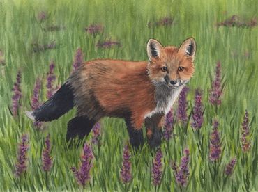 Diane Pope painting - A fox stands in a field of purple wildflowers