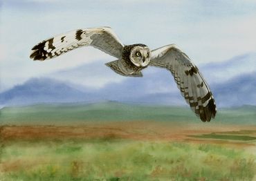 Diane Pope painting - an owl swoops low over the land