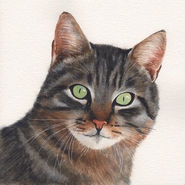 Diane Pope painting - A grey and brown tabby with green eyes watches you