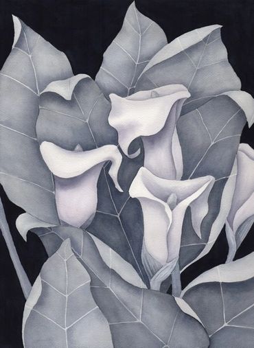 Diane Pope painting - lilies in black and white