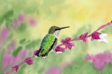 Diane Pope painting - a tiny green humming bird sits on a branch with pink spring blossoms