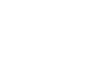 Bluewing Power